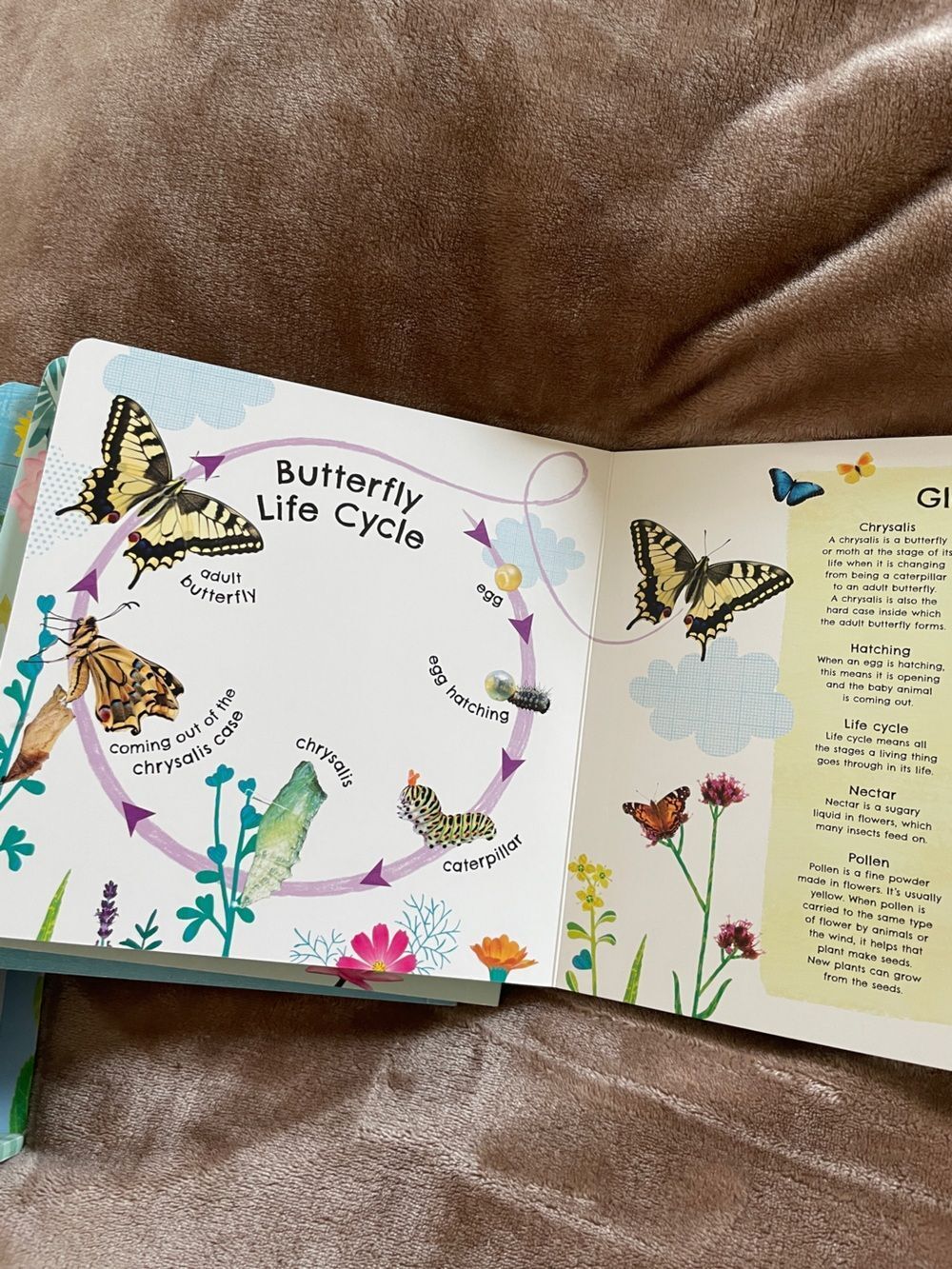 DK Kids Books Watch Me Grow Collection Nature Exploration Lifecycle Early Reader - Picture 13 of 13